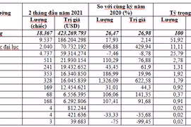 Nhập khẩu hơn 18,3 nghìn chiếc ô tô trong 2 tháng