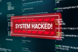 CIC bị hacker tấn công, VNCERT khuyến cáo khẩn