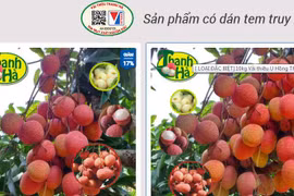 Đưa nông sản tươi “lên sàn”: Chất lượng tốt, mẫu mã phải đẹp