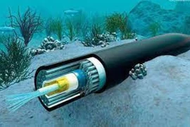Hơn 1 tháng nữa mới sửa xong cáp quang biển AAG