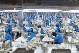 Nhiều mặt hàng xuất khẩu sang EU tăng mạnh