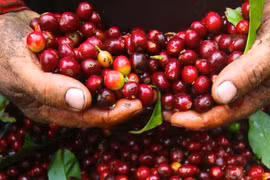 Xuất khẩu vượt chỉ tiêu tăng trưởng