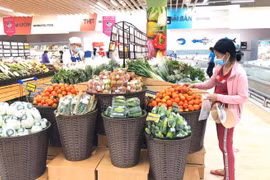 Tạo luồng ưu tiên đặc biệt cho các phương tiện vận tải hàng hóa thiết yếu vào TP.HCM