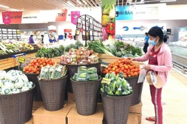 Tạo luồng ưu tiên đặc biệt cho các phương tiện vận tải hàng hóa thiết yếu vào TP.HCM