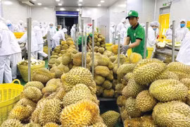 31 mặt hàng có kim ngạch xuất khẩu vượt 1 tỷ USD trong 10 tháng đầu năm