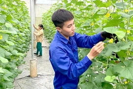 Từ ngày 1-7, tổng điều tra nông thôn, nông nghiệp 2025