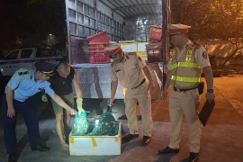 Buộc tiêu hủy gần 1 tấn cua cà ra không rõ nguồn gốc xuất xứ