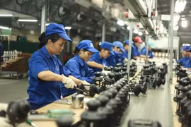 Làn sóng khởi nghiệp diễn ra mạnh mẽ