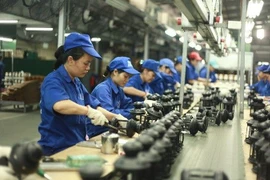 Làn sóng khởi nghiệp diễn ra mạnh mẽ