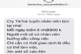 Giả mạo TikTok để lừa đảo