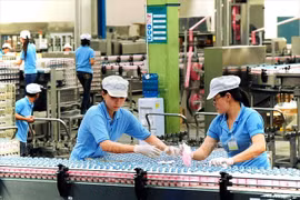 Thêm 2 doanh nghiệp Việt Nam được xuất khẩu sản phẩm sữa sang Trung Quốc