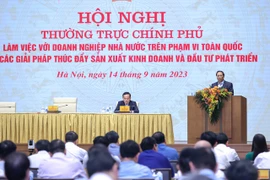 Sắp xếp, cải cách doanh nghiệp Nhà nước phù hợp với tình hình của Việt Nam