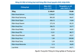 Người Việt chi hơn 1,2 tỷ USD để nhập khẩu iPhone