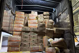 Phát hiện gần 1,5 tấn dưa vàng không rõ nguồn gốc