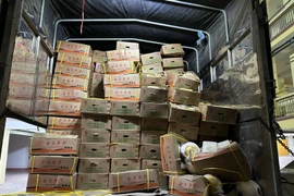 Phát hiện gần 1,5 tấn dưa vàng không rõ nguồn gốc