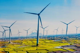 Giao EVN tính toán khung giá phát điện nhà máy điện mặt trời, điện gió