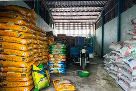 Phân bón giả trà trộn vào thị trường