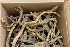 Kiểm tra, bắt giữ hơn 20 tấn cây dược liệu không rõ nguồn gốc, xuất xứ