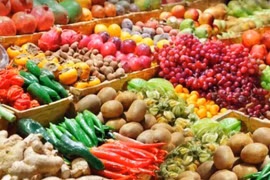 Cần có giải pháp phòng ngừa rủi ro lừa đảo trong hoạt động xuất khẩu nông sản