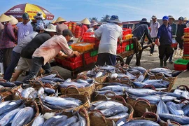 EU thay đổi mẫu Giấy chứng nhận kiểm dịch động vật dưới nước nhập khẩu