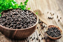 Doanh nghiệp xuất khẩu tiêu, điều sang Tây Ban Nha cần thận trọng