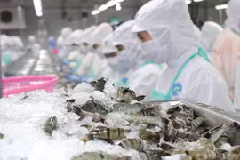 Không hợp tác điều tra phòng vệ thương mại, một doanh nghiệp Việt Nam bị Mỹ áp thuế hơn 221%