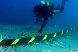 Bốn tuyến cáp quang biển cùng gặp sự cố: Việt Nam cần thêm cáp quang biển mới