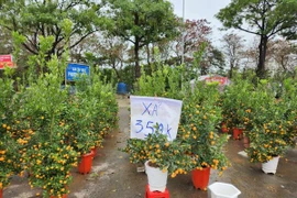 Trưa 30 Tết: Đào, hoa Tết đại hạ giá 