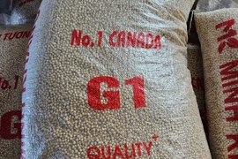 Hà Nội: Chuyển Công an vụ việc có dấu hiệu phạm tội sản xuất, buôn bán hàng giả