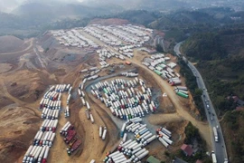 Thêm nhiều mặt hàng ách tắc ở khu vực cửa khẩu, doanh nghiệp khẩn thiết “kêu cứu”