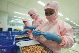 Điều kiện kinh doanh: Vẫn “phép vua thua lệ làng”