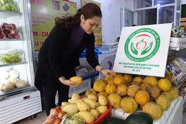 Xử lý nghiêm trường hợp bán trái cây lấn chiếm vỉa hè, lòng đường