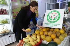 Xử lý nghiêm trường hợp bán trái cây lấn chiếm vỉa hè, lòng đường