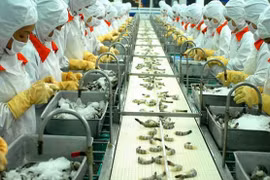 Doanh nghiệp thua lỗ, vi phạm sẽ không được xét chọn “doanh nghiệp xuất khẩu uy tín” 