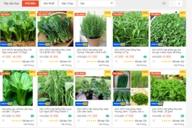 Giống cây trồng bán online gây ra nhiều hệ luỵ