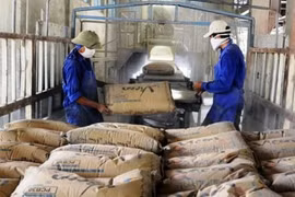 Philippines áp thuế tự vệ tạm thời với một mặt hàng nhập khẩu từ Việt Nam