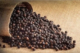 Xuất khẩu hồ tiêu đạt hơn 1 tỷ USD