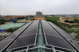 Bộ Công Thương nói về trách nhiệm của EVN trong sai phạm tại các dự án điện mặt trời