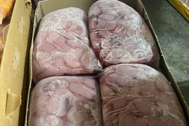 Hà Nội: Phát hiện hơn 2 tấn thực phẩm đông lạnh nghi nhập lậu