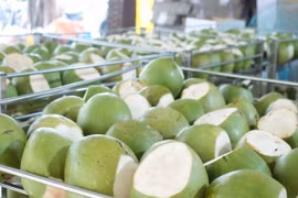 Thời tiết bất lợi, xuất khẩu rau quả sang Trung Quốc vẫn có thể đạt hàng tỷ USD