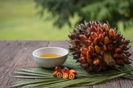 Indonesia cấm xuất khẩu dầu cọ thô và dầu ăn, doanh nghiệp Việt Nam cần làm gì?