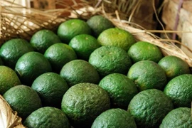 Algeria tiếp tục cấm nhập khẩu 13 loại trái cây