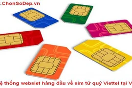 SIM chưa kích hoạt hết hạn sẽ bị thu hồi