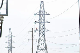 Đảo Cát Bà có điện trở lại sau sự cố tàu hàng va chạm đường dây 35kV