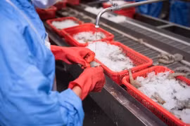 Kiến nghị tháo gỡ hàng loạt vướng mắc về thuế giá trị gia tăng cho doanh nghiệp thủy sản