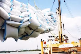 Trung Quốc nhập khẩu gần 581.000 tấn gạo từ Việt Nam