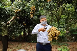 Sẽ phổ cập mỗi hộ nông dân có một điện thoại thông minh