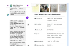 Mạo danh Điện máy Xanh để lừa đảo