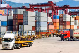 Kim ngạch xuất khẩu nhiều mặt hàng sang Singapore tăng đột biến