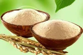 Ấn Độ cấm xuất khẩu cám gạo trích ly mã số HS 2306